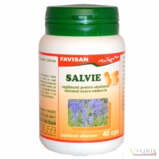 Medicamente pe afectiuni Salvie x 40 Capsule