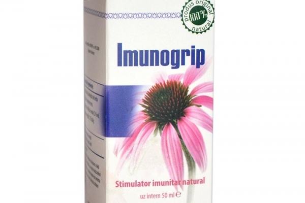 Echinaceea - beneficii pentru sanatate